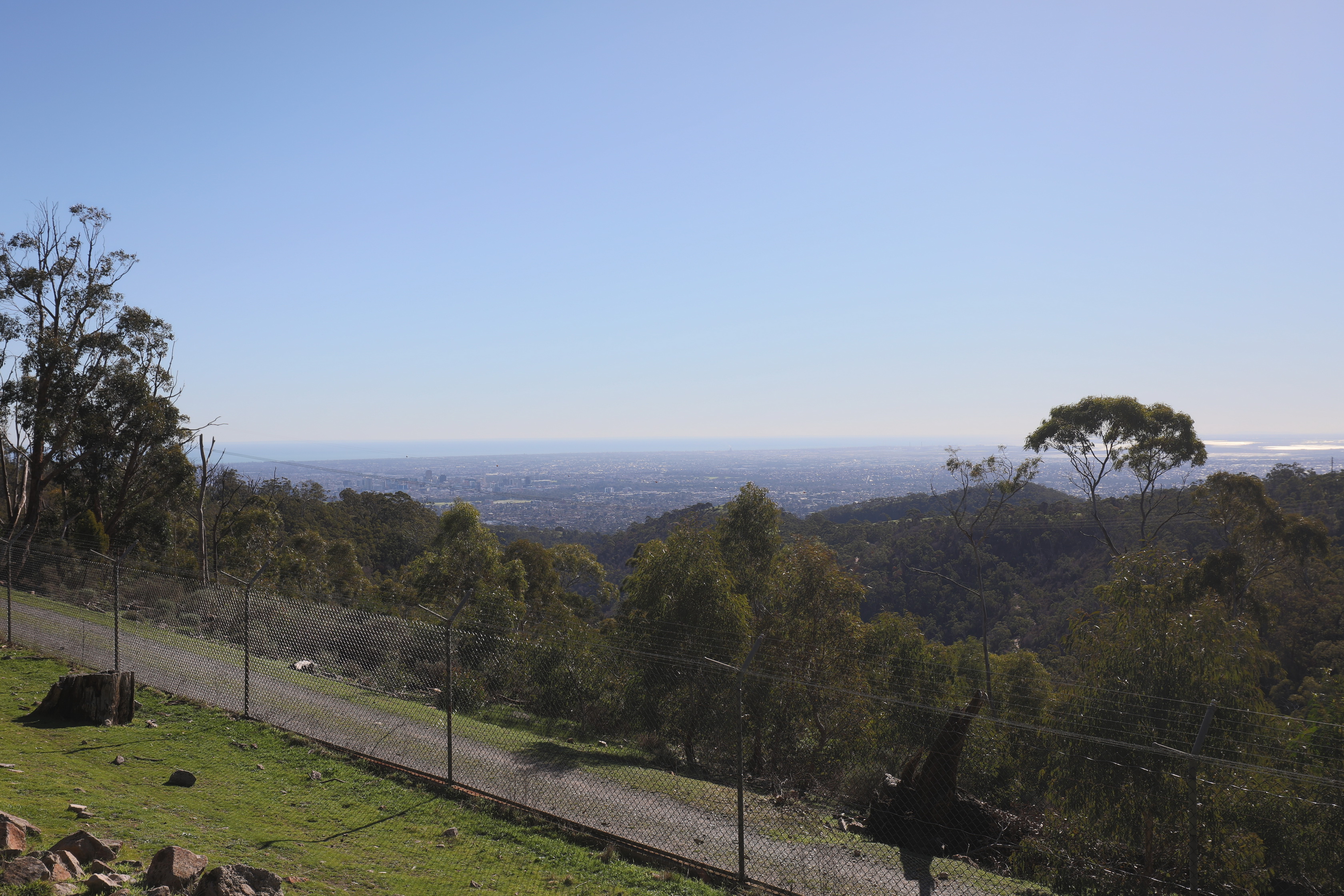 2019 07 19 14 03 24 Canon EOS 5D Mark IV 0019